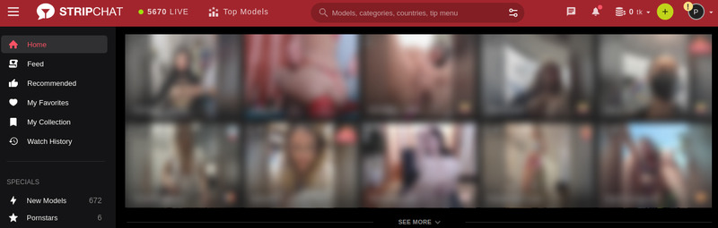 Stripchat sitio de cámara