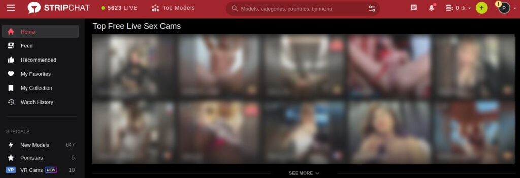StripChat With Cam Girls