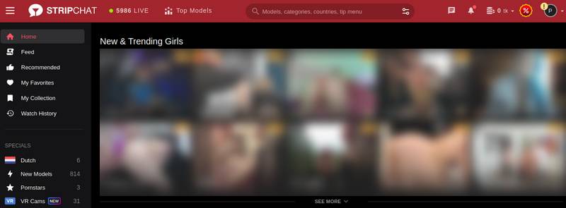 Stripchat Captura de pantalla Página principal