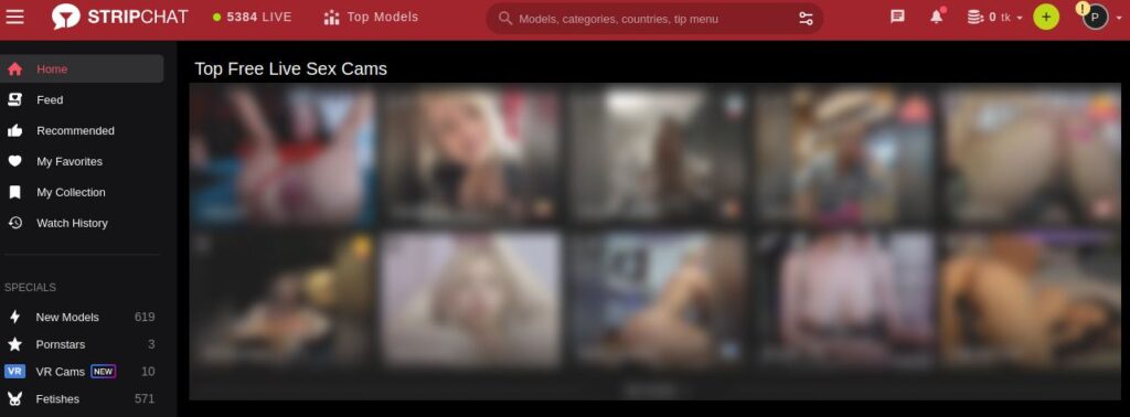 Stripchat con chicas cam