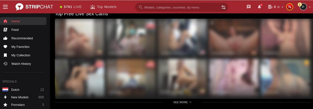 Stripchat con chicas cam